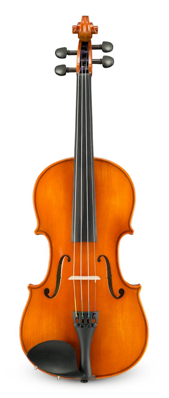 Manufacturer reference front view of the Eastman VL100 violin